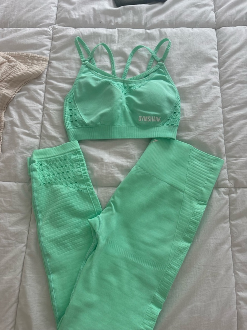 Gymshark Mint Green Seamless Sports Bra & Leggings Set